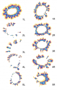fig-5-fingers-Pekka-
